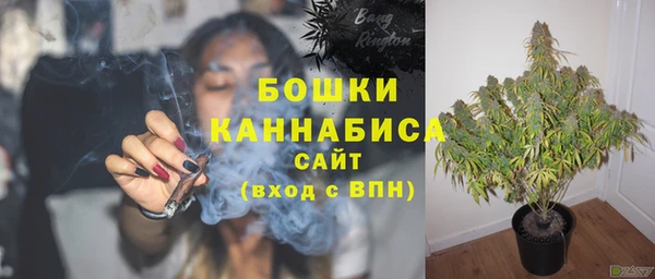 прущие грибы Абаза