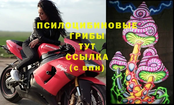 шишки Дрезна