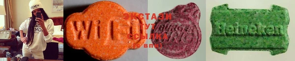 прущие грибы Абаза