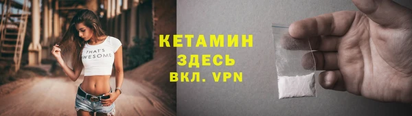 прущие грибы Абаза