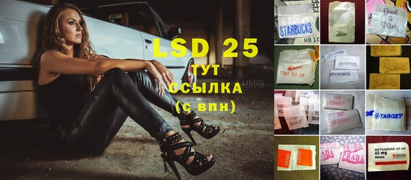 ГАЛЛЮЦИНОГЕННЫЕ ГРИБЫ Дубна