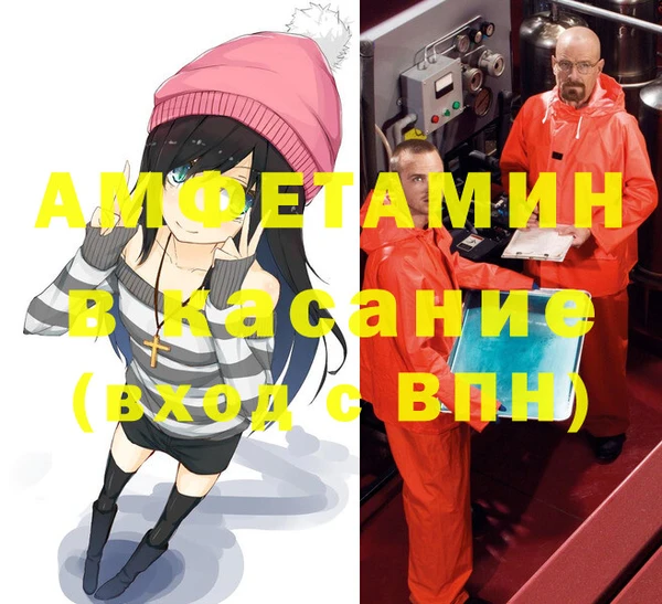 прущие грибы Абаза