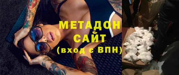 прущие грибы Абаза