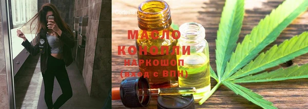 прущие грибы Абаза